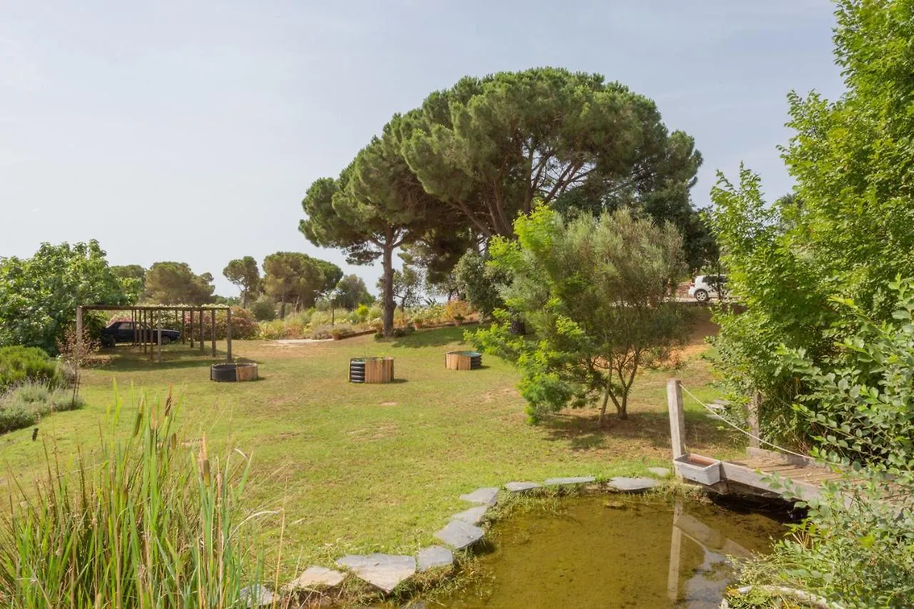 Le Rondini Bed & Breakfast Montras Spain